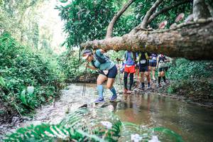 BIB: 
                            <button type="button" onclick="openModal(25475438)" class="btn btn-primary btn-sm float-right btn-popup" data-toggle="modal" data-target=".modal-high-quality">
                        <i class="fas fa-shopping-cart"></i> Add to Cart
                    </button>
                                            <button type="button" onclick="isThisMe(25475438, true)" class="btn btn-success btn-sm float-right btn-popup btn-isme hidden" data-toggle="tooltip" data-placement="bottom" title="นี่คือรูปของคุณใช่ไหม คลิกที่นี่เพื่อเอาเข้าอัลบั้ม">
                        <i class="fas fa-plus"></i> Add to album
                    </button>
                    <button type="button" onclick="isThisMe(25475438, false)" class="btn btn-warning btn-sm float-right btn-popup btn-isnotme hidden">
                        <i class="fas fa-ban"></i> Remove from album
                    </button>